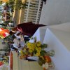 960.07 dsc_0209